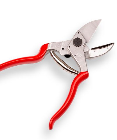 Aambeeld snoeischaar FELCO 31
