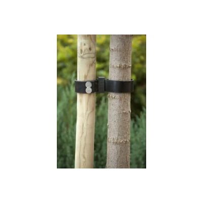 Boomband rubber met gesp 60cm x 38mm (2 stuks)